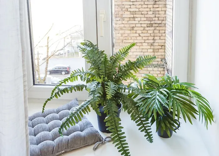 Spacious 7-Bedroom Apartment For Groups - Valdemara Street